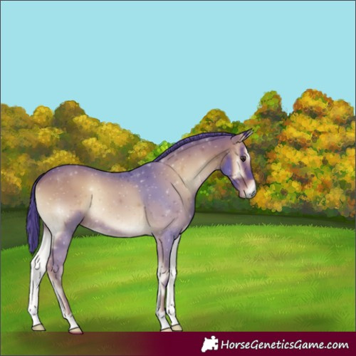 Horse Color:Watercolor Liver Red Onyx 