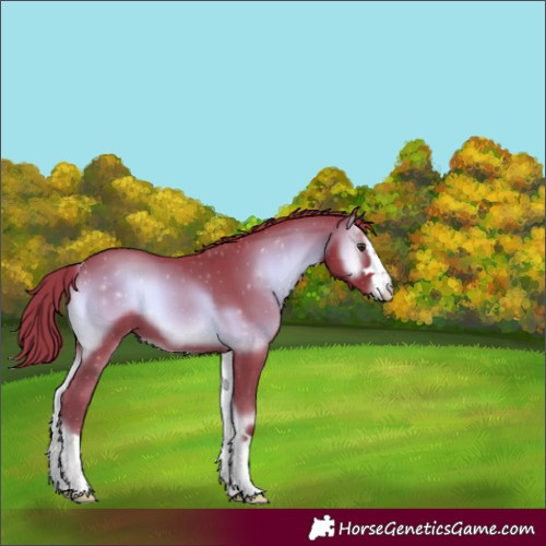 Horse Color:Watercolor Liver Red Onyx 