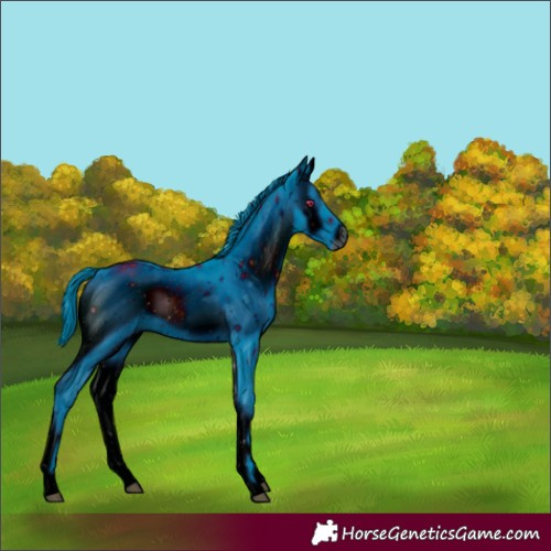 Horse Color:ERROR: UNKNOWN ANOMALY