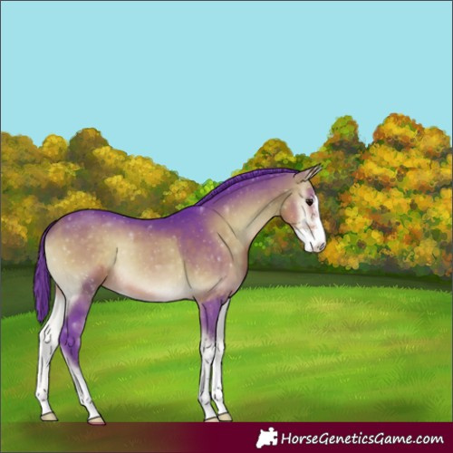Horse Color:Watercolor Buckskin Onyx Sabino 