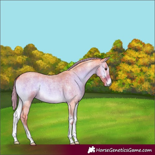 Horse Color:Watercolor Chocolate Palomino Roan Onyx 