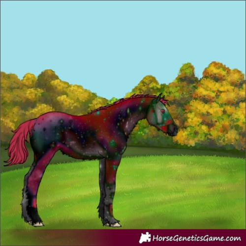 Horse Color:ERROR: UNKNOWN ANOMALY