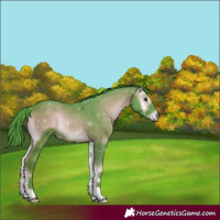 Horse Color:Watercolor Liver Red Onyx