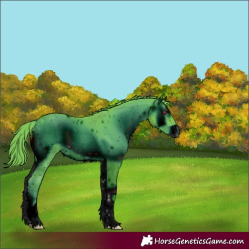 Horse Color:ERROR: UNKNOWN ANOMALY
