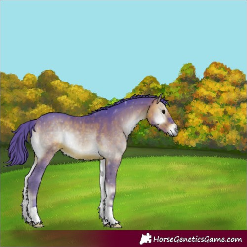 Horse Color:Watercolor Brown Onyx 