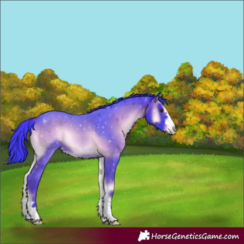 Horse Color:Watercolor Liver Red Onyx 