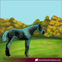 Horse Color:ERROR: UNKNOWN ANOMALY