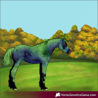 Horse Color:ERROR: UNKNOWN ANOMALY