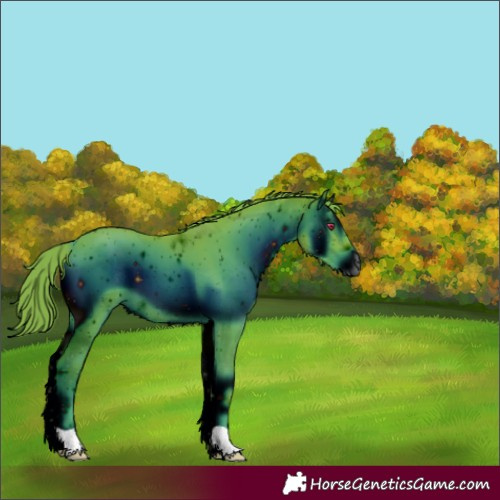 Horse Color:ERROR: UNKNOWN ANOMALY