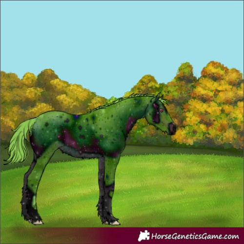 Horse Color:ERROR: UNKNOWN ANOMALY