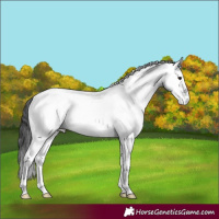 Horse Color:White Spotted Blue Ice Roan