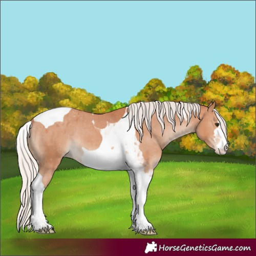 Horse Color:Silver Bay Tobiano Varnish 