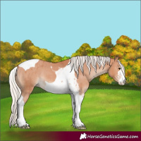 Horse Color:Silver Bay Tobiano Varnish 