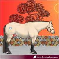 Horse Color:Buckskin Dun