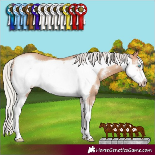 Horse Color:Silver Amber Champagne Sabino Frame Rabicano 