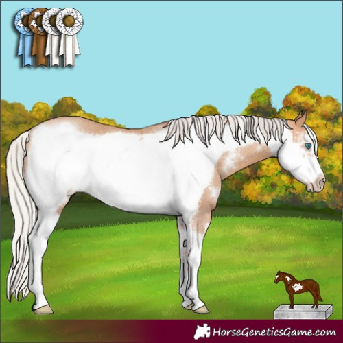 Horse Color:Silver Amber Champagne Sabino Frame Rabicano 