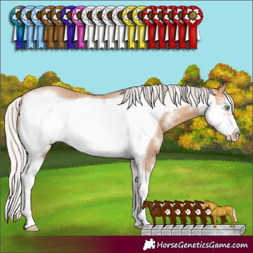 Horse Color:Silver Amber Champagne Sabino Frame Rabicano 