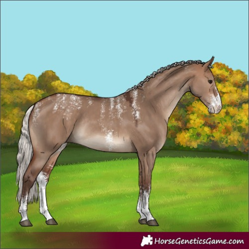 Horse Color:Powder White Silver Brown Dun Sabino Rabicano 