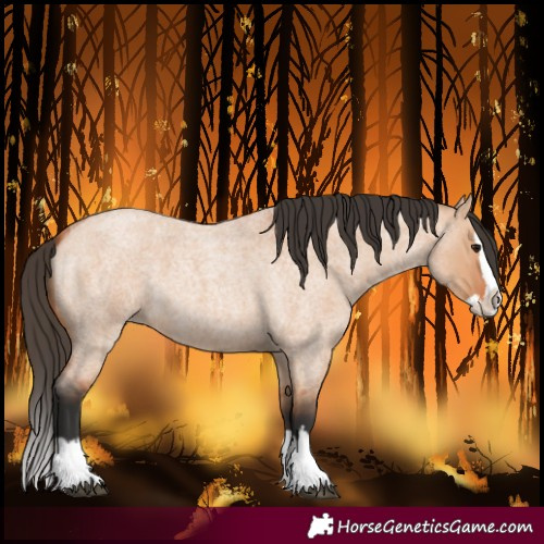 Horse Color:Bay Roan Dun Splash 