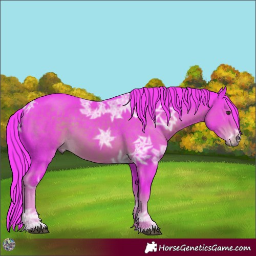 Horse Color:Watercolor Liver Chestnut Ice 