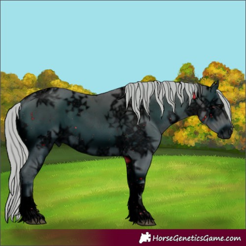 Horse Color:ERROR: UNKNOWN ANOMALY