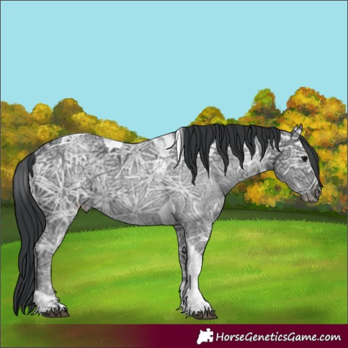 Horse Color:Black Ice Tobiano 