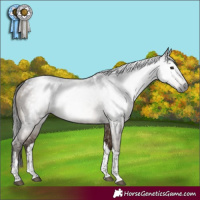 Horse Color:Gray Bay Dun Mushroom Tobiano Brindle
