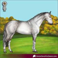 Horse Color:Gray Bay Dun Mushroom Tobiano Brindle 