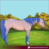 Horse Color:Watercolor Bay Dun Rabicano 