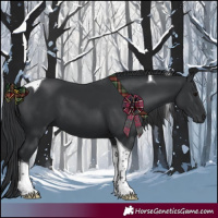 Horse Color:Black Tobiano 