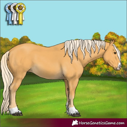 Horse Color:Palomino 