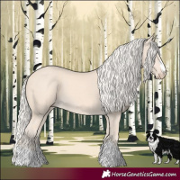 Horse Color:Cremello 