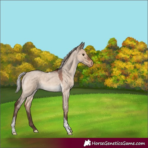 Horse Color:Silver Brown Roan Dun Tobiano Varnish 