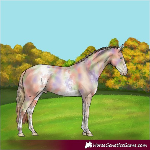 Horse Color:Nacre Gold Champagne Pearl Tobiano Rabicano  and Nacre White Spotted Gold Champagne Pearl Tobiano Rabicano 