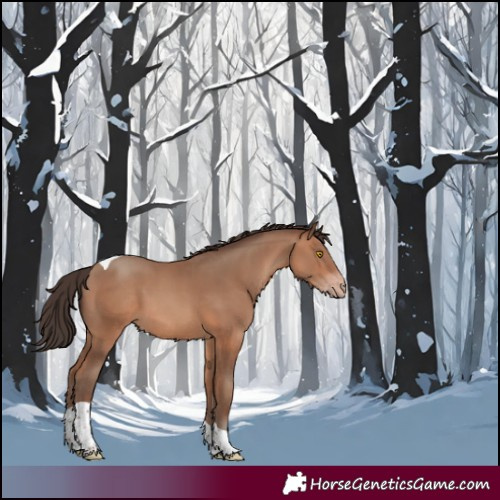 Horse Color:Sable Champagne Tobiano 