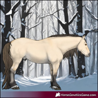 Horse Color:Buckskin Dun 