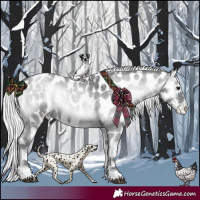 Horse Color:Silver Blue Onyx Chinchilla Roan Appaloosa 