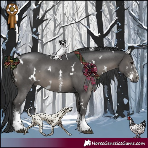 Horse Color:White Spotted Black Sabino 