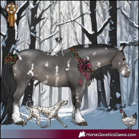 Horse Color:White Spotted Black Sabino