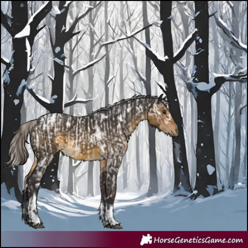 Horse Color:White Spotted Bay Roan Dun  and White Spotted Silver Buckskin Tobiano Rabicano 