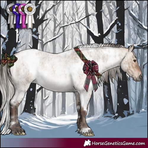 Horse Color:White Spotted Bay Roan Dun Rabicano  and White Spotted Silver Brown Roan Dun 