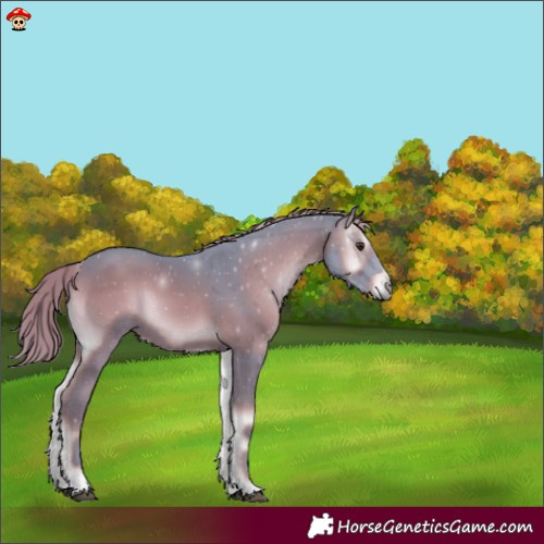 Horse Color:Watercolor Liver Red Onyx 