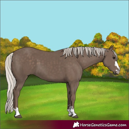 Horse Color:Silver Black
