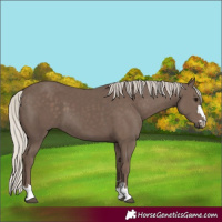 Horse Color:Silver Black 