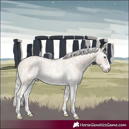 Horse Color:Cremello Sabino  and Cremello Sabino 