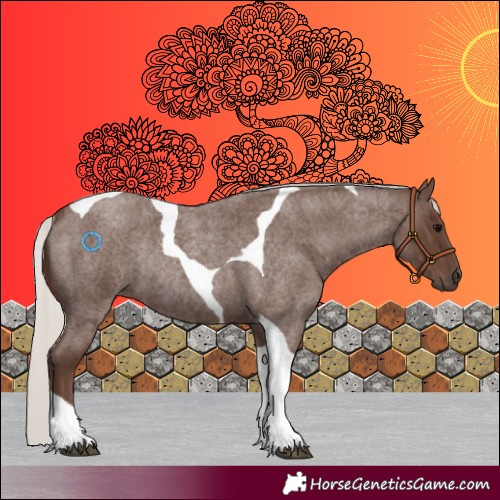 Horse Color:Silver Blue Roan Tobiano Rabicano 