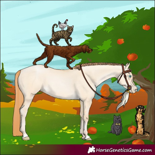 Horse Color:Buckskin Pearl Dun 