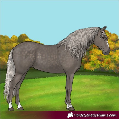 Horse Color:Silver Black 