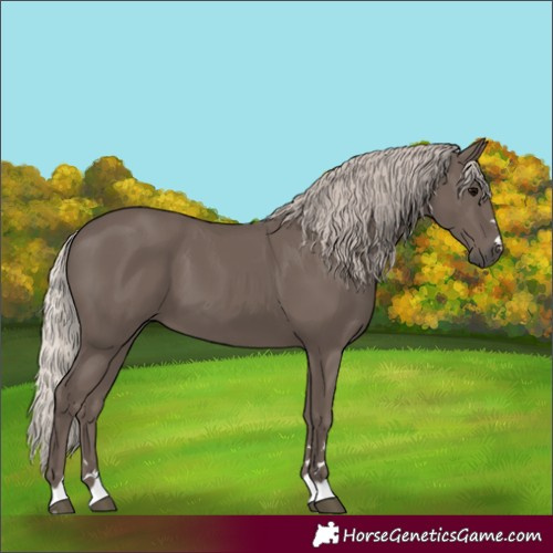 Horse Color:Silver Black 