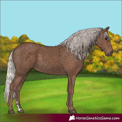 Horse Color:Silver Black 